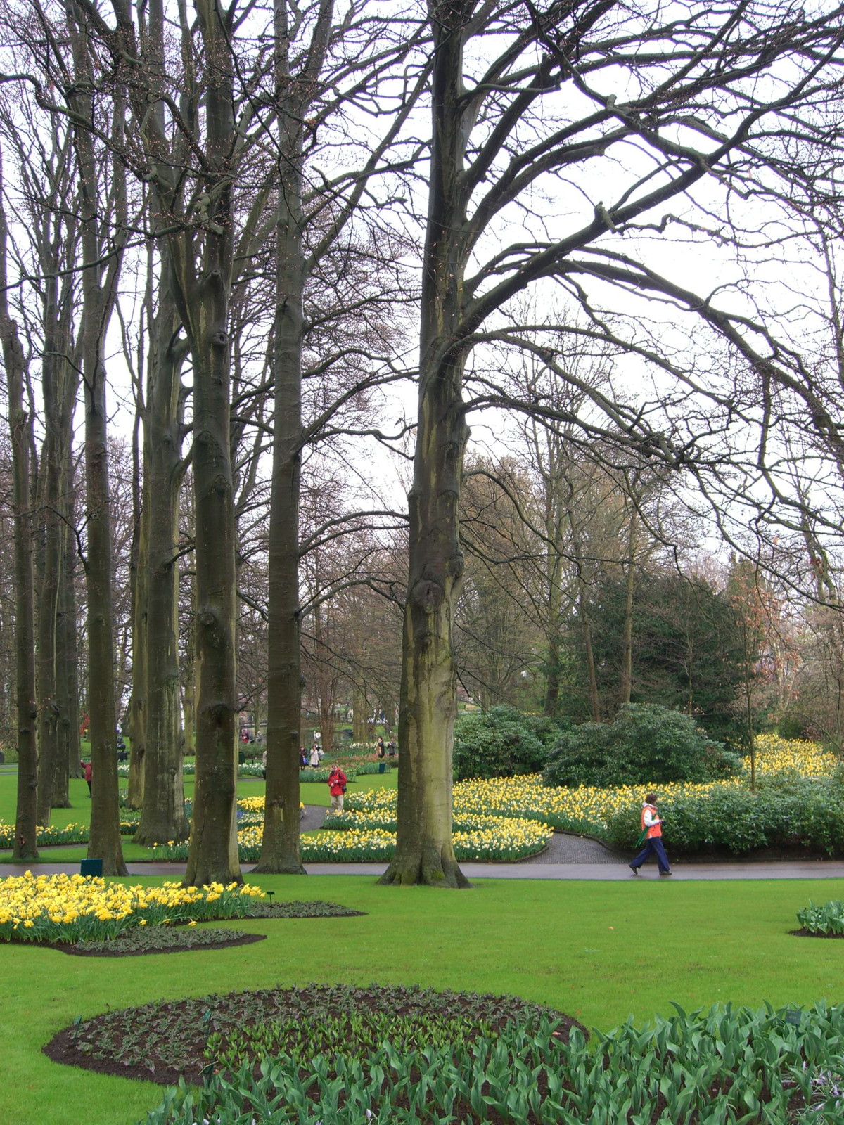 Netherlands Keukenhof